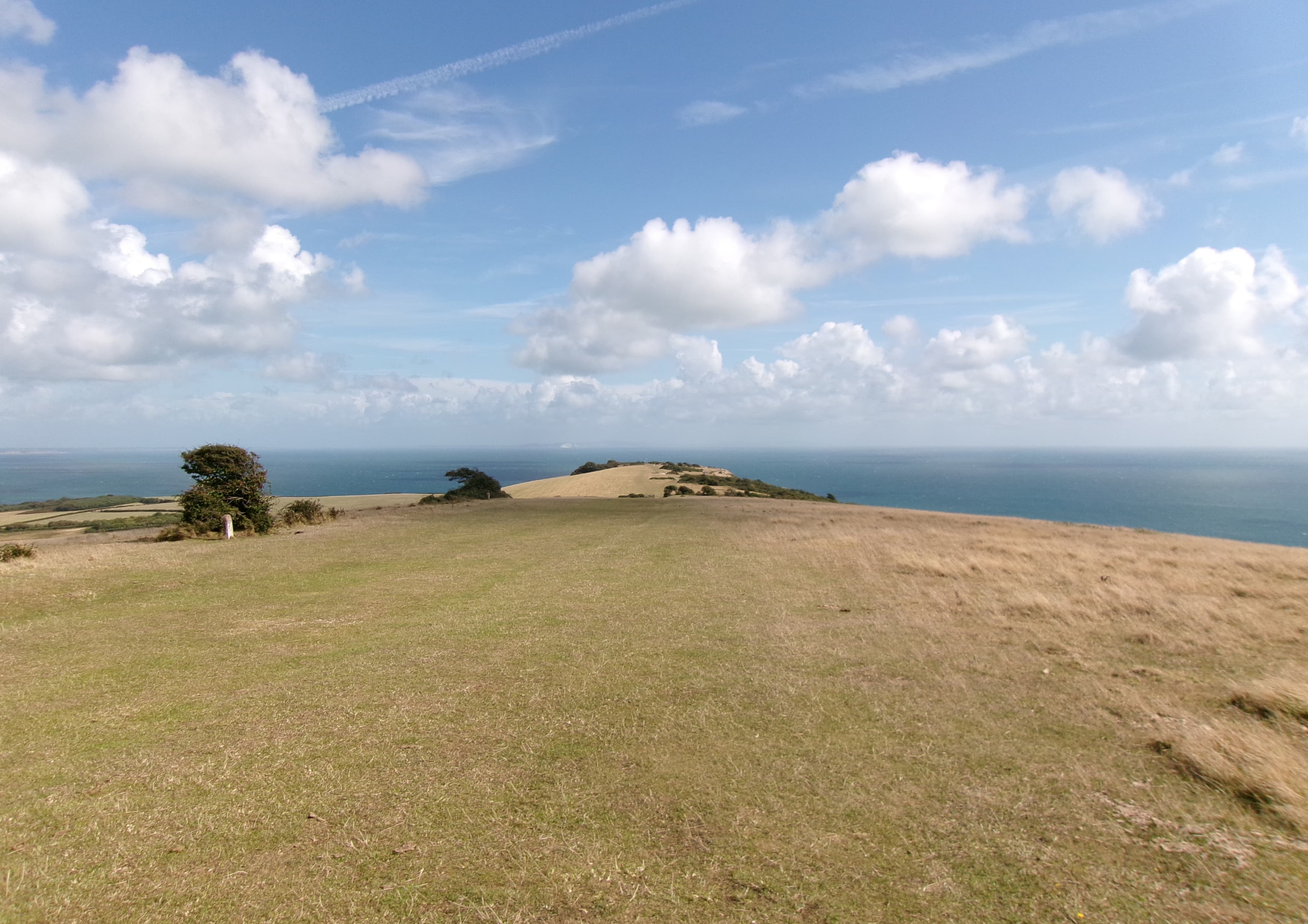 Ballard Down